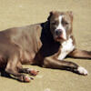 cooperl33